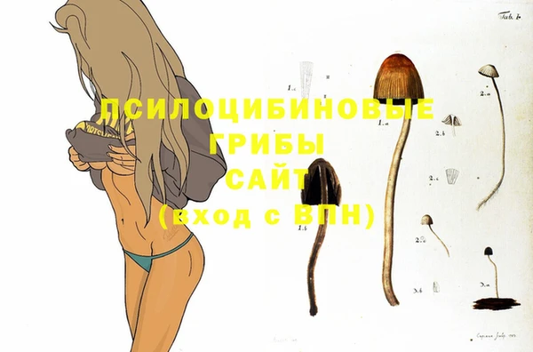 jwh Белокуриха